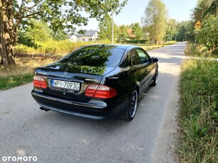 Mercedes-Benz CLK 55 AMG