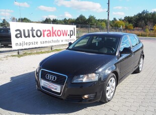 Audi A3 II (8P)