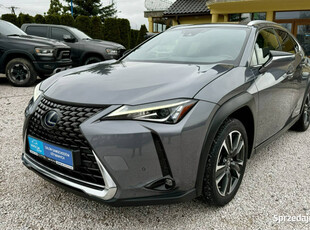 Lexus UX 250h,Hybryda,4x4,Gwarancja