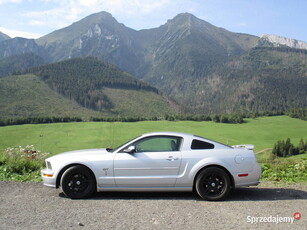 Mustang V8 GT, 4.6, manual, bezwypadkowy, S197