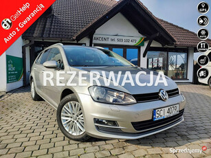 Volkswagen Golf Golf VII Variant + wersja Cup BMT VII (2012-)