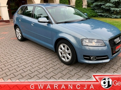 Audi A3 8P Hatchback 3d 1.4 TFSI 125KM 2010