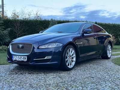 Jaguar XJ VII X351 2016