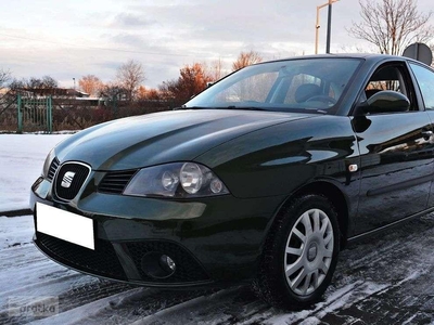 SEAT Ibiza IV