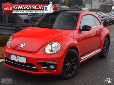 Volkswagen Beetle III