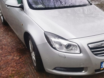 Opel Insignia 2.0 Dach Panorama