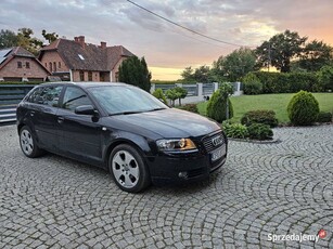 Audi A3 1.9 TDI 2005r możliwe zamiana