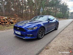 Ford Mustang 3.7 V6 305KM 2016R__WYDECH__LEDY__KAMERA__GWINT!