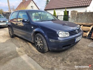 Syndyk sprzeda Volkswagen Golf IV