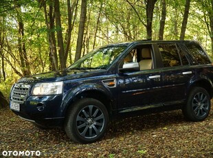 Używany Land Rover Freelander 2008