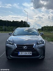 Lexus NX 300h Comfort AWD