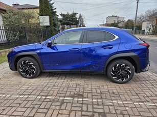 Lexus UX 250h hybryda - 2024, szafirowy lakier, jasnoszara skóra syntetyczna