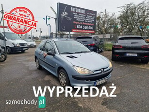 Peugeot 206 60 Filou