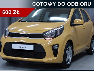 Kia Picanto III Hatchback 5d Facelifting 1.2 DPI 84KM 2024