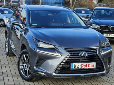 Lexus NX I SUV Facelifting 300 238KM 2019