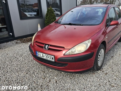 Peugeot 307 1.6 Trendy