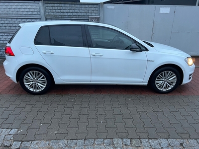 Volkswagen Golf VII Hatchback 3d 1.6 TDI BlueMotion 110KM 2015