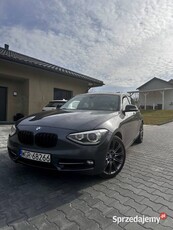 BMW F20 118d po mapie 180km