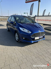 Ford Fiesta Mk7 (2008-)