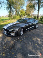 Ford Mustang LIFT Automat 5.0 V8 GT