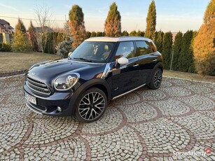 Mini Countryman Salon Polska Bezwypadkowy