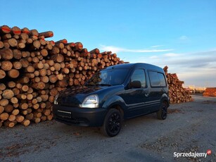 Renault Kangoo I 1998 1.4 benzyna