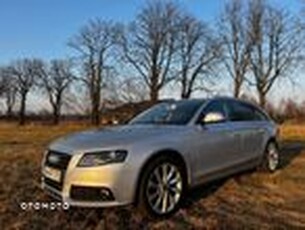 Używany Audi A4 2008