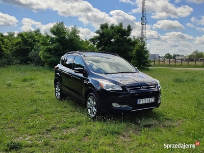 Ford Escape Mk2 2.0 Ecoboost 4x4 automat