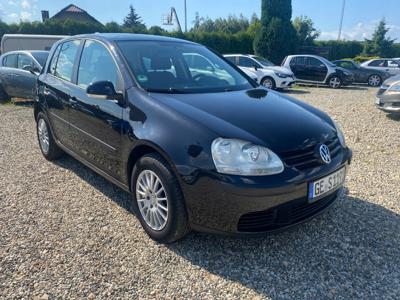 Volkswagen Golf V Hatchback 1.4 i 16V 75KM 2006