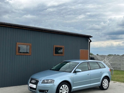 Audi A3 8P Hatchback 3d 1.6 FSI 115KM 2006