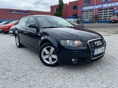 Audi A3 8P Hatchback 3d 1.8 TFSI 160KM 2007