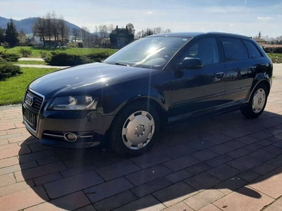 Audi A3 8P Hatchback 3d 2.0 TDI CR 140KM 2011