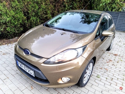 Ford Fiesta 1.25 16V Klima Zadbany