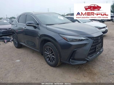 Lexus NX II 2022