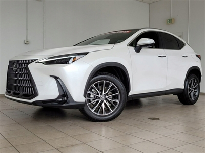 Lexus NX II 2024