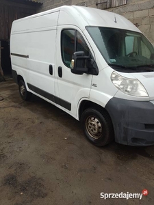 samochód dostawczy fiat ducato