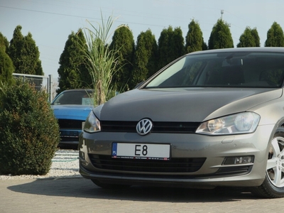 Volkswagen Golf VII Hatchback 3d 1.6 TDI CR DPF 90KM 2013