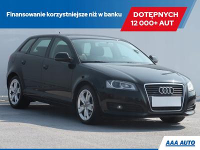 Audi A3 8P Hatchback 3d 2.0 TDI CR 140KM 2009