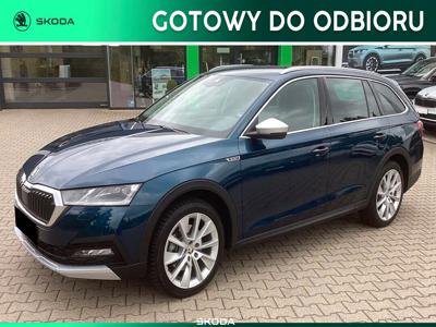 Skoda Octavia IV Scout 2.0 TDI 150KM 2023