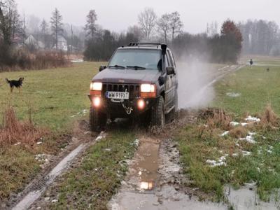 Używane Jeep Grand Cherokee - 21 000 PLN, 196 000 km, 1995