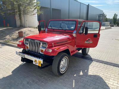 Używane Jeep Wrangler - 39 900 PLN, 195 000 km, 1991