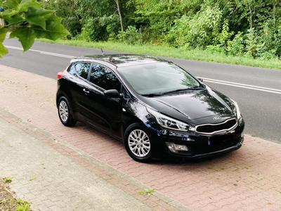 Używane Kia Pro_cee'd - 25 900 PLN, 250 000 km, 2013