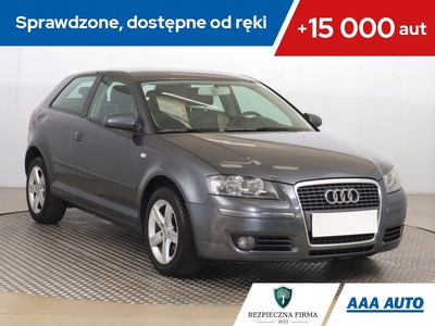 Audi A3 8P Hatchback 3d 1.6 102KM 2006