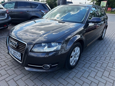 Audi A3 II (8P) 1.6 Tdi 105 KM Led Alu Navi !