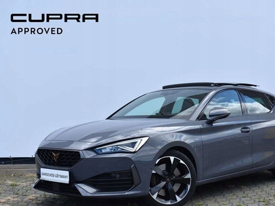 Cupra 2023