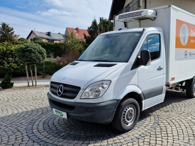 Mercedes Sprinter (Nr. 105), 311 CDI, CHŁODNIA kontener The…