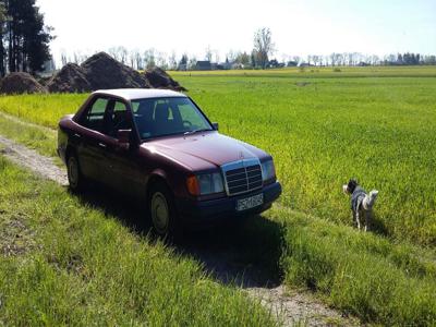 Mercedes-Benz W124, Rok 91