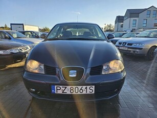 Seat Ibiza 1.4 diesel 2004 rok