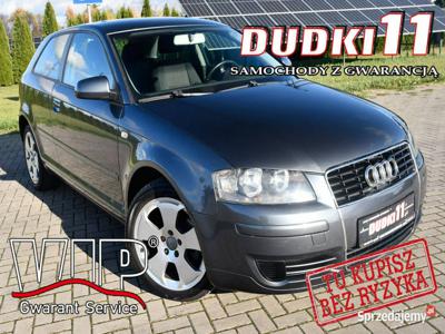 Audi A3 1,9tdi DUDKI11 Klimatr 2 str,Hak,Tempomat,El.szyby.…