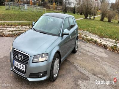 Audi A3 8p 2.0 TDI CR 2008/2009